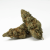 Frosty (AA+) Frosty (AA+)