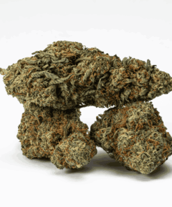 Frosty (AA+) Frosty (AA+)