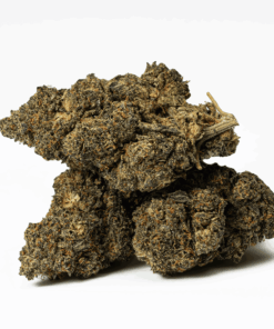 Mint Cake (AA+) Mint Cake (AA+)