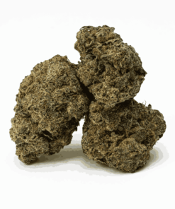 Banana Cream (AA+) Banana Cream (AA+)