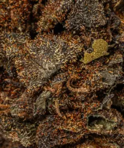 Black Jack (A) Black Jack (A)