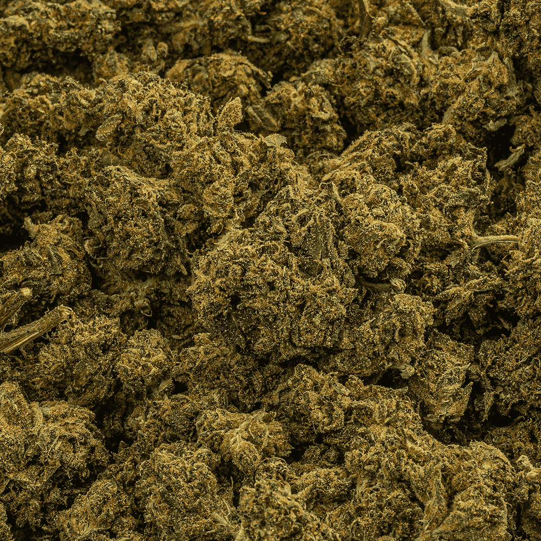 Durban Poison (AA) Durban Poison (AA)