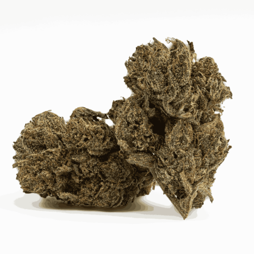 Gasolina (AAAA+)