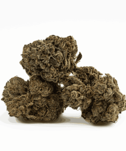 Gasolina (AAAA+) Gasolina (AAAA+)