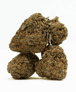 Guava Bomba (AAA) Guava Bomba (AAA)