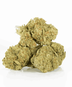 Mango Lemonade (AA) Mango Lemonade (AA)