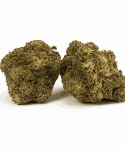 Peach Crescendo (AA+) Peach Crescendo (AA+)
