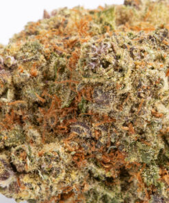 Cherry Kola (AAAA) Cherry Kola (AAAA)