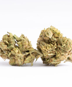 Couchlock (AAA) Couchlock (AAA)