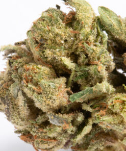 Couchlock (AAA) Couchlock (AAA)