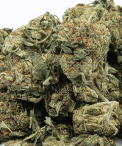 Glue Dream (AA) Glue Dream (AA)