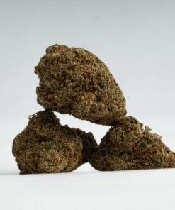 God's Gift (AA+) God's Gift (AA+)