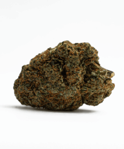 God's Gift (AA+) God's Gift (AA+)