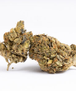 Ghost Bubba (AAA) Ghost Bubba (AAA)