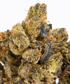 Ghost Bubba (AAA) Ghost Bubba (AAA)