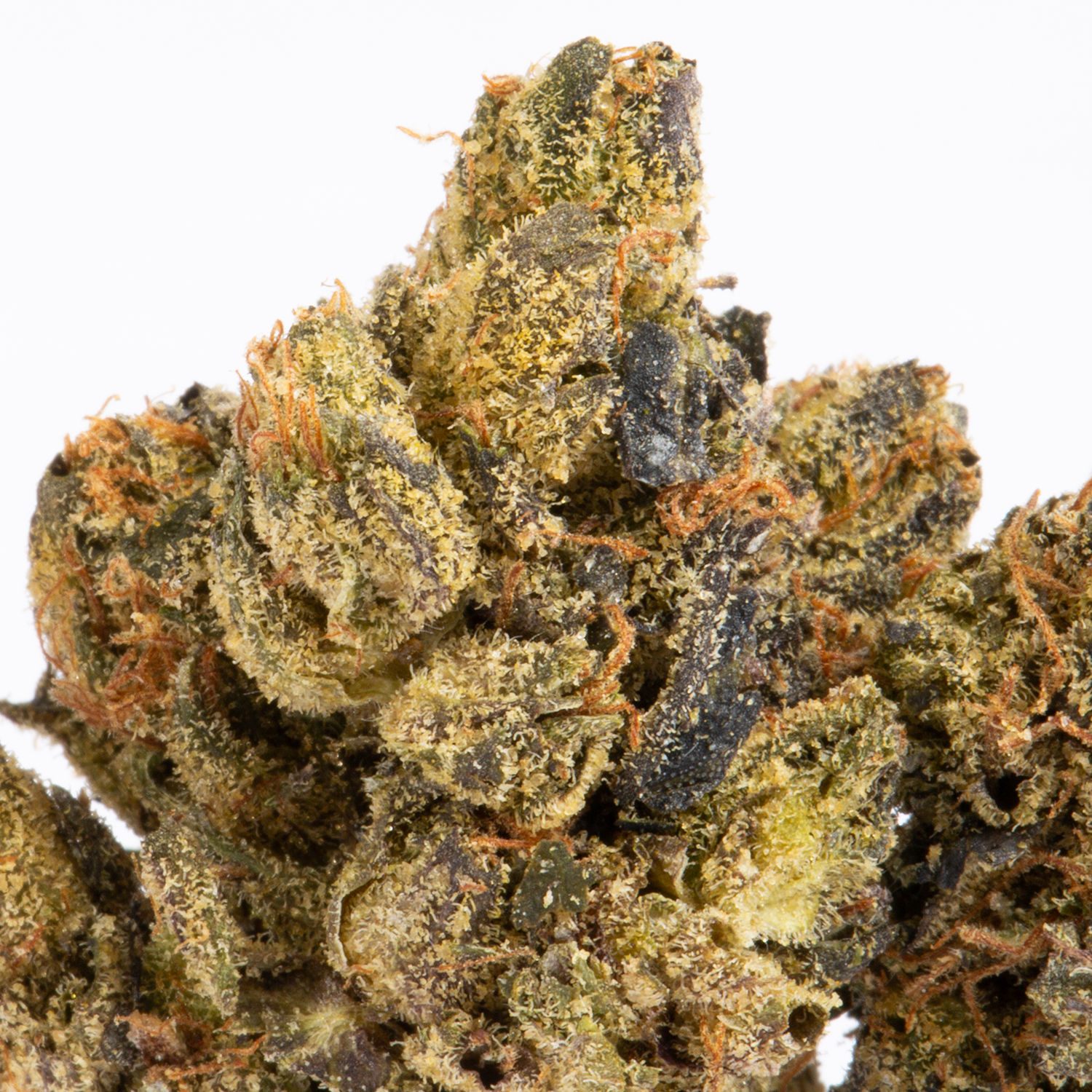 Ghost Bubba (AAA) Ghost Bubba (AAA)