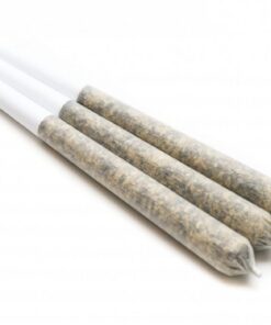 House Pre-Rolls 0.5g (Live Soil) - Chemo House Pre-Rolls 0.5g (Live Soil) - Chemo