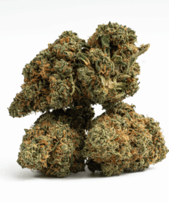 Lamb's Bread (AA+) Lamb's Bread (AA+)