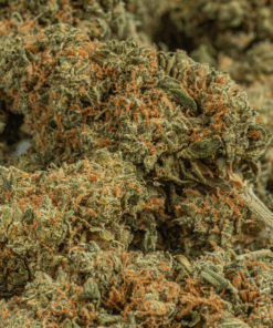 Lamb's Bread (AA+) Lamb's Bread (AA+)