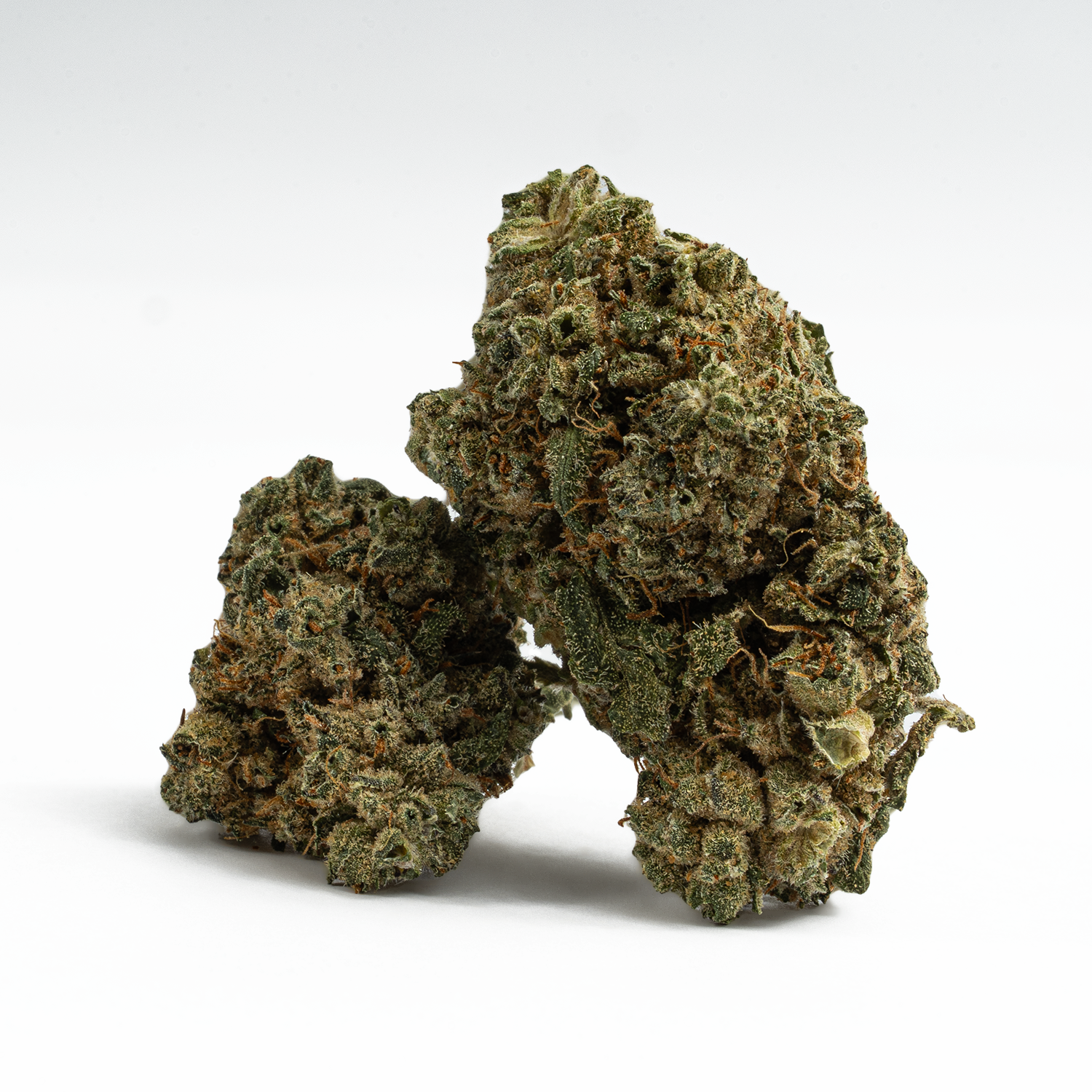 Mochi (AAA) Mochi (AAA)