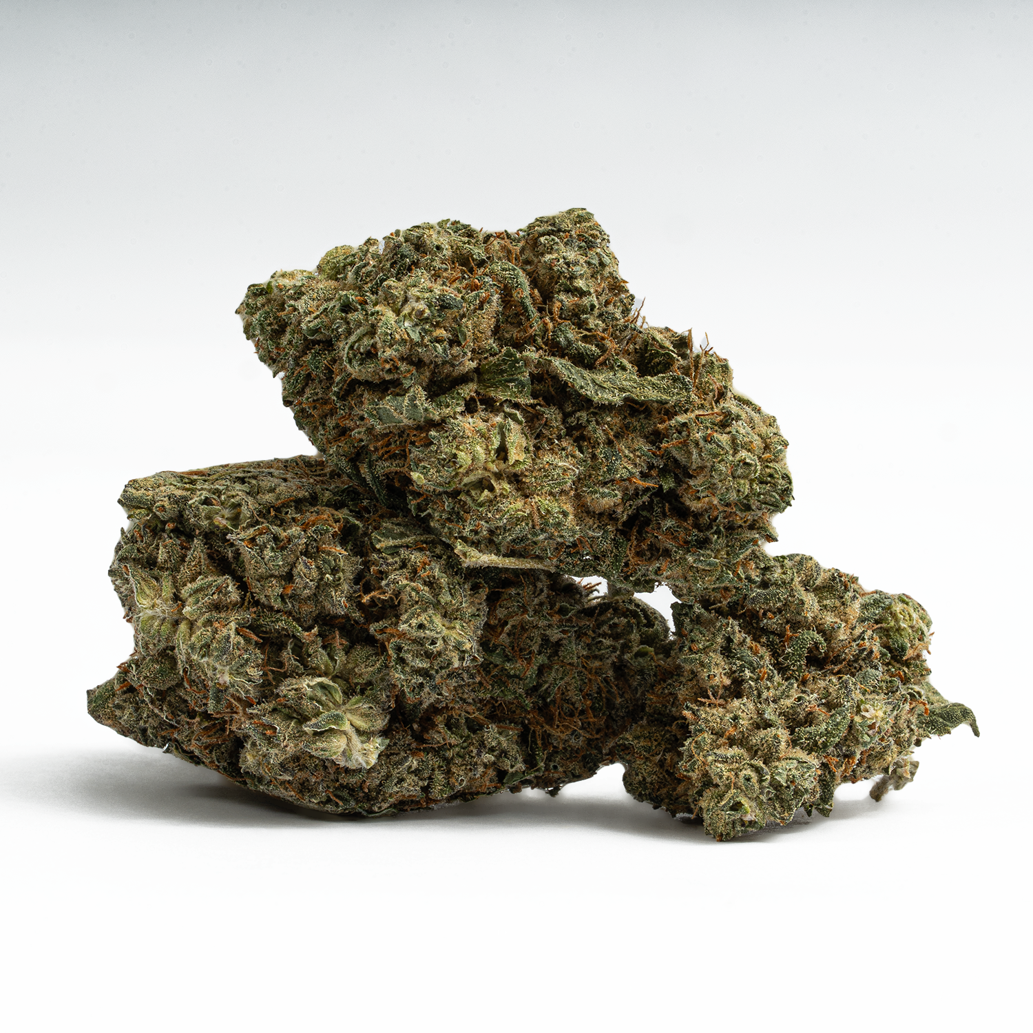 Mochi (AAA) Mochi (AAA)