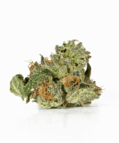 Northern Lights (AAA) Northern Lights (AAA)