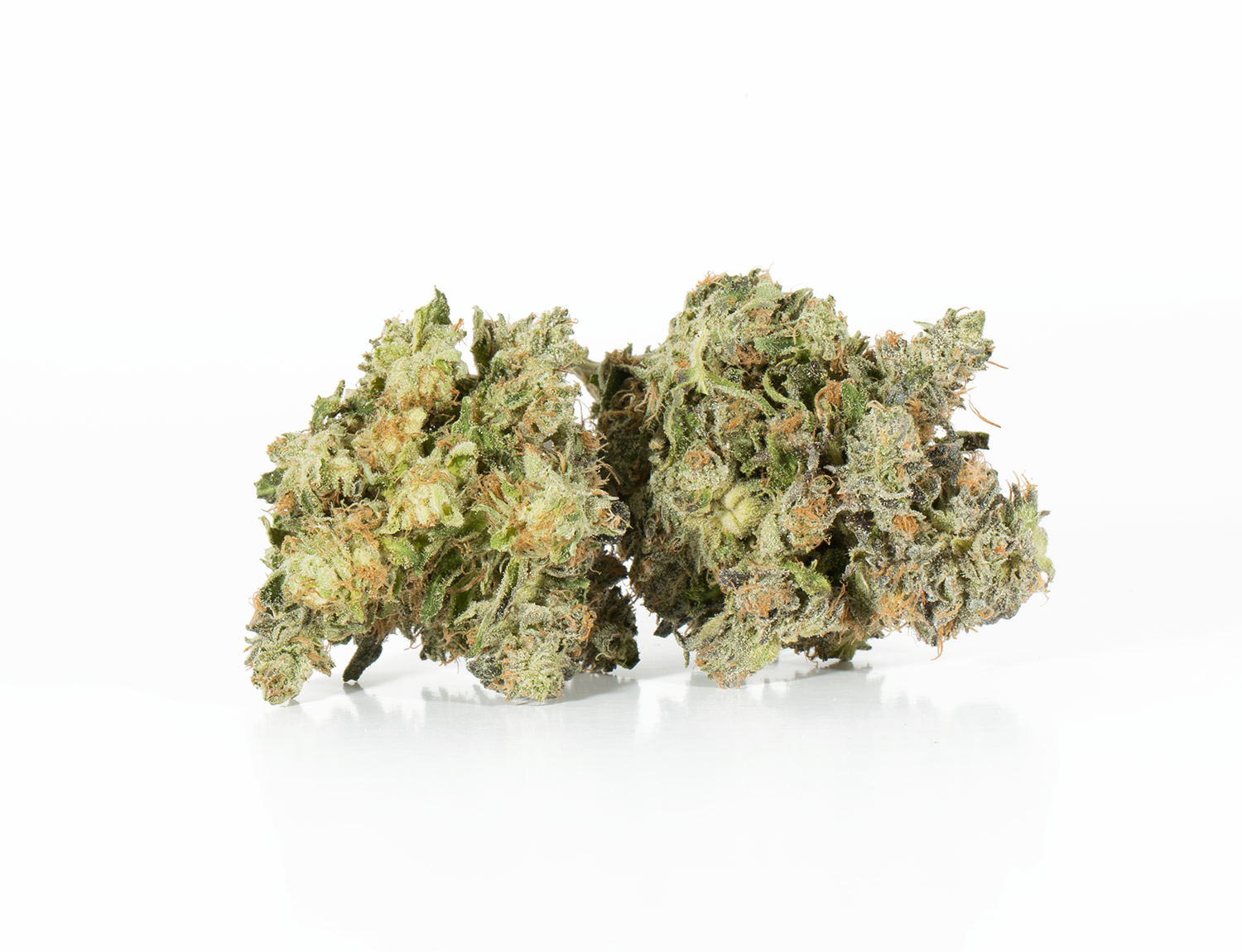 Northern Lights (AAA) Northern Lights (AAA)