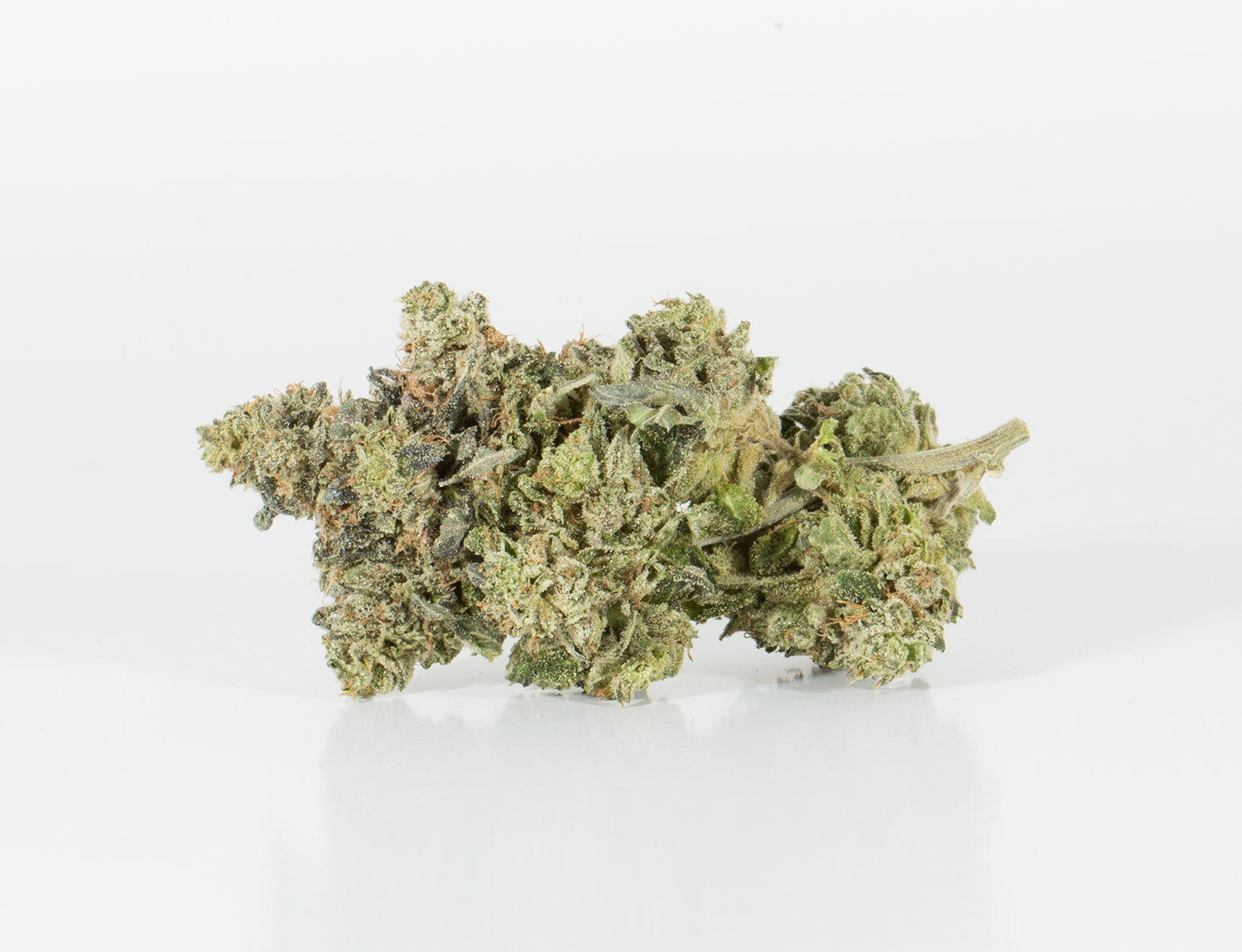 Northern Lights (AAA) Northern Lights (AAA)