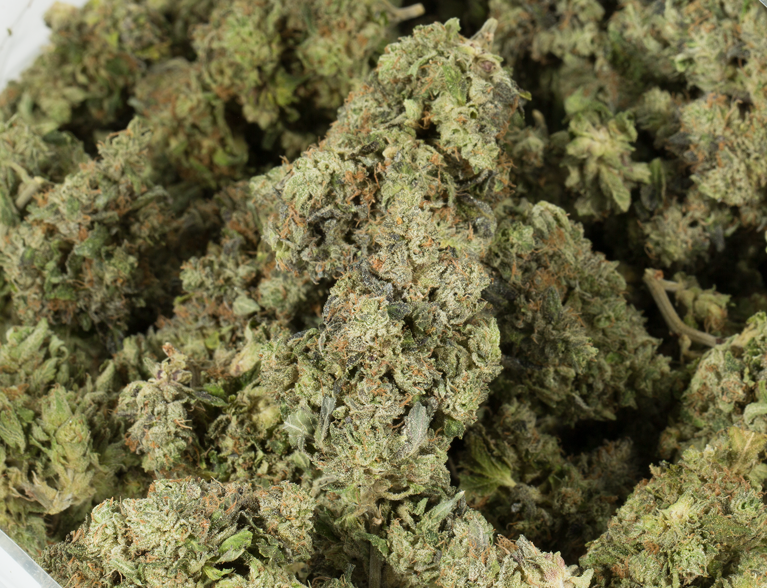 Northern Lights (AAA) Northern Lights (AAA)