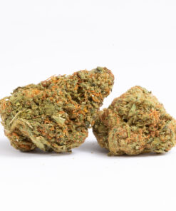 Panama Red (AA+) Panama Red (AA+)