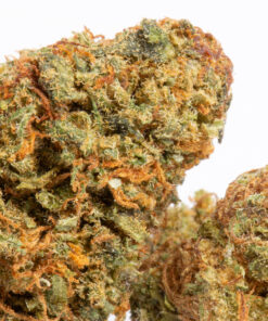 Panama Red (AA+) Panama Red (AA+)