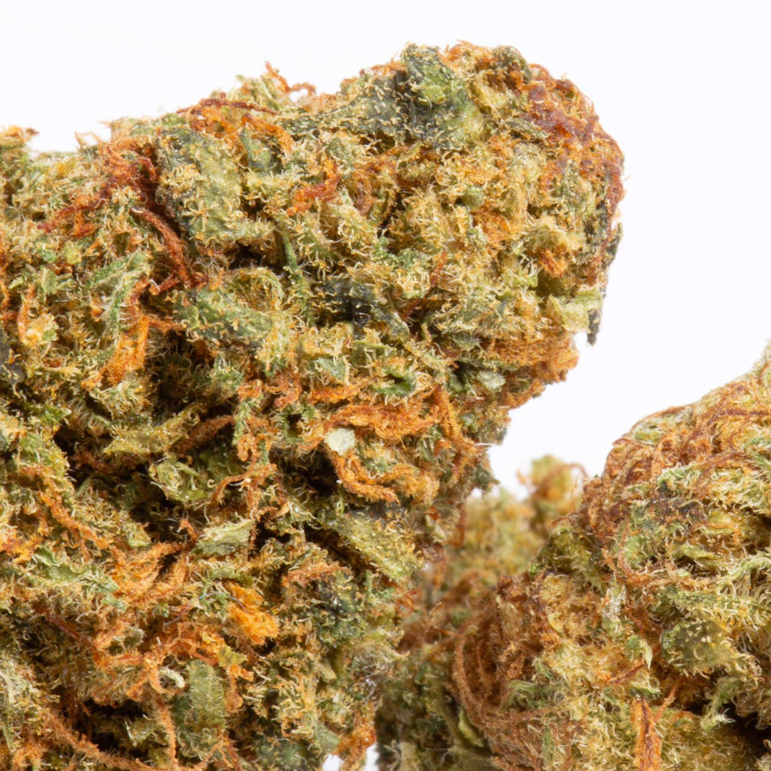 Panama Red (AA+) Panama Red (AA+)