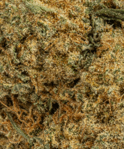 Silky Johnson (AAA+)