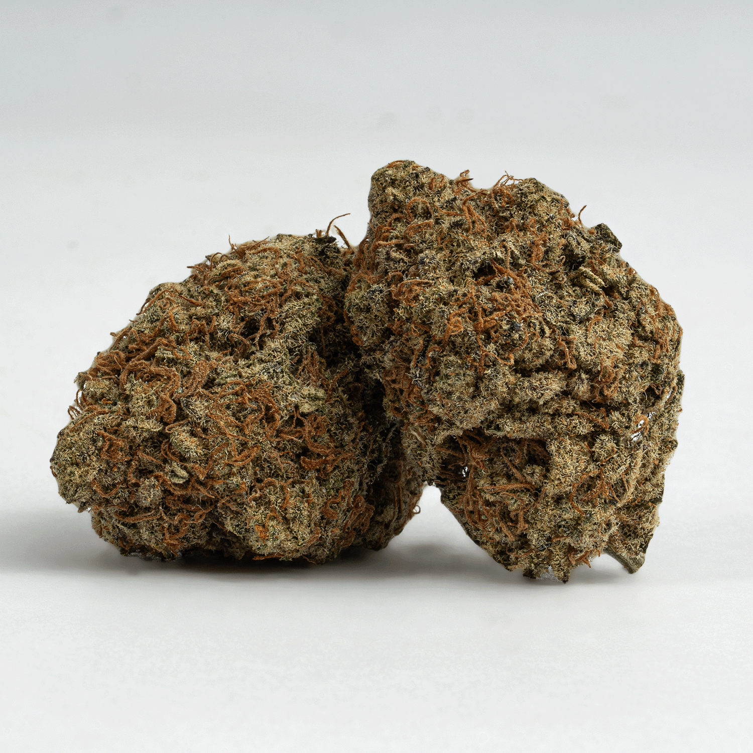 Silver Haze (AA+) Silver Haze (AA+)