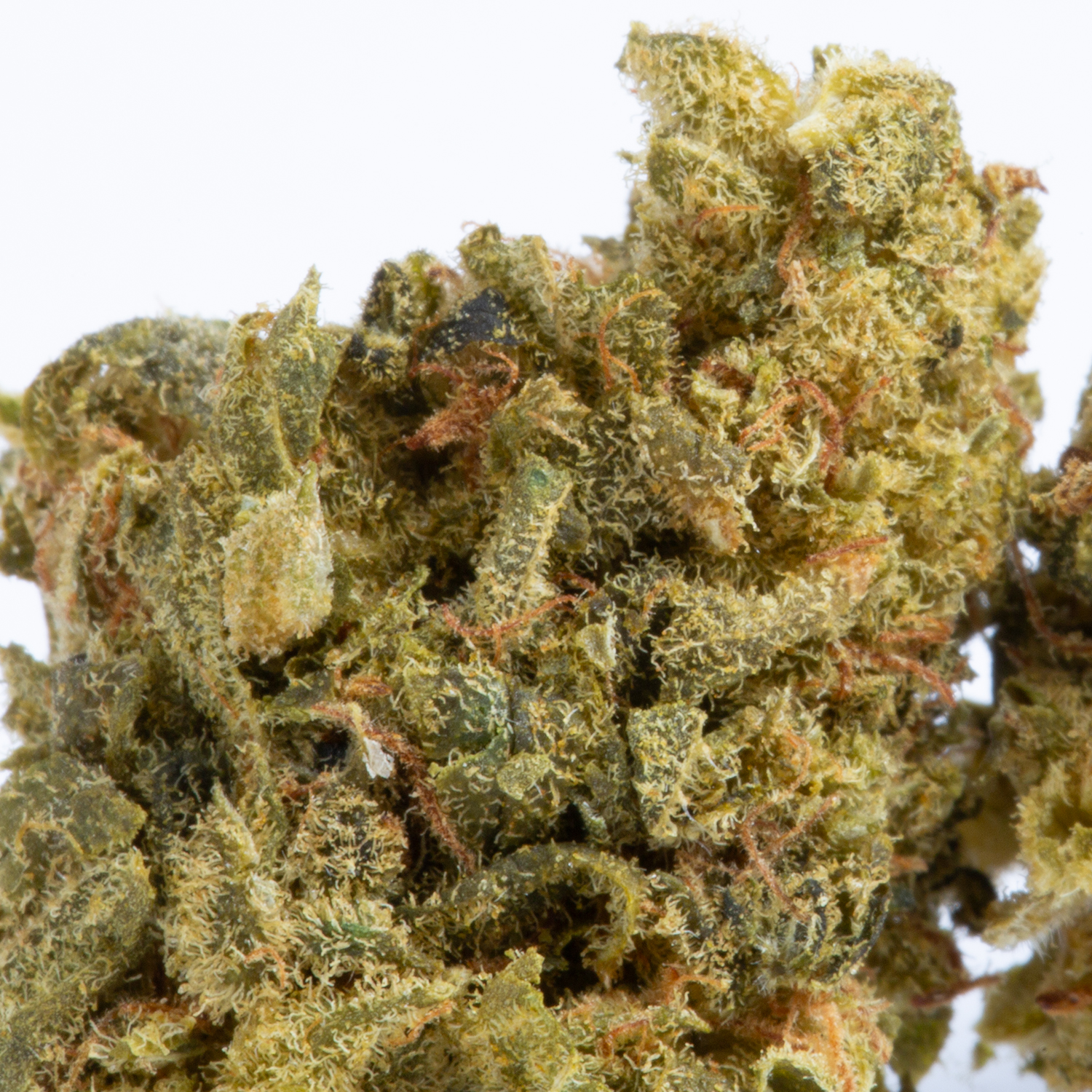 White Castle (AA) White Castle (AA)