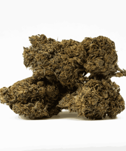Black Jesus (AAA+) Black Jesus (AAA+)