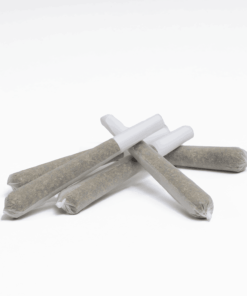Scout - 5 Pack Pre-Rolls (0.5g) - CBD Scout - 5 Pack Pre-Rolls (0.5g) - CBD