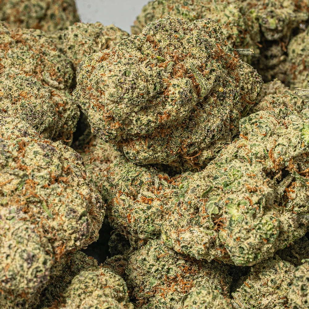 Alien Cookies (AAAA+) Alien Cookies (AAAA+)