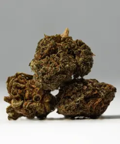 (Smalls) Black Jack (A)