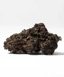 Black Raspberry (AAAA)