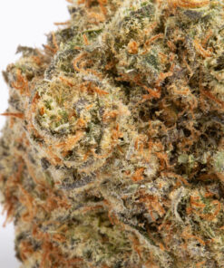 Blackberry Bliss (AA)