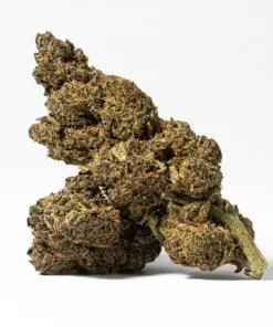 Cherry Mints (AA) Cherry Mints (AA)