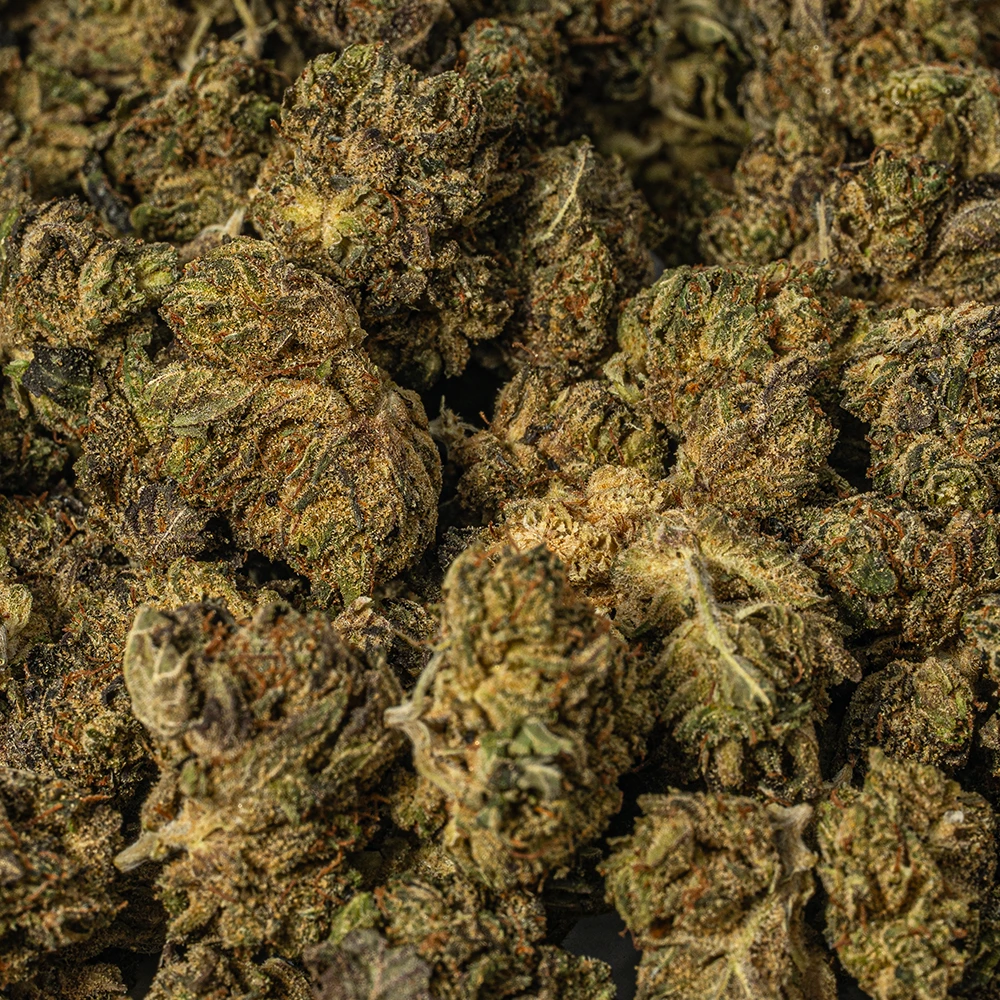 (Smalls) Grizzly Pink (AAAA) (Smalls) Grizzly Pink (AAAA)