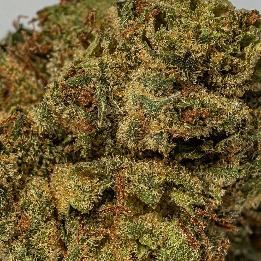 (Smalls) Galactic Gas (AAAA) (Smalls) Galactic Gas (AAAA)