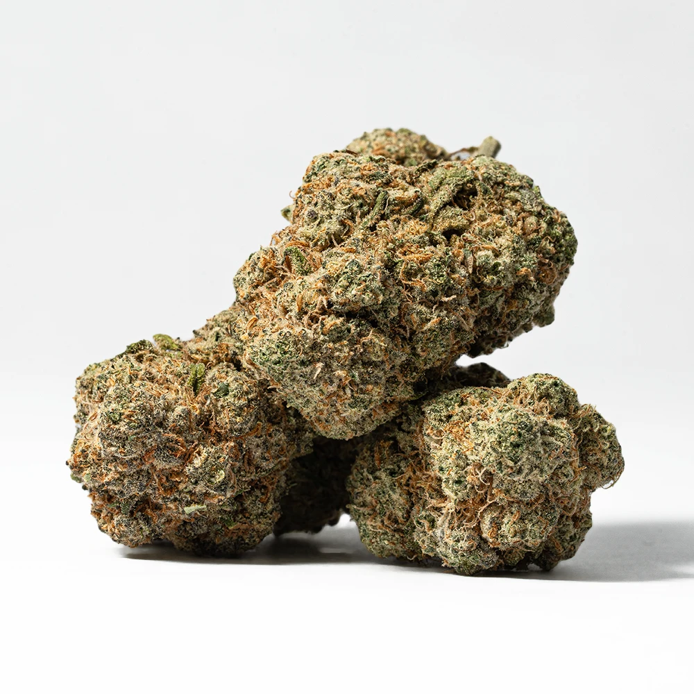 Harlequin (AAA) Harlequin (AAA)