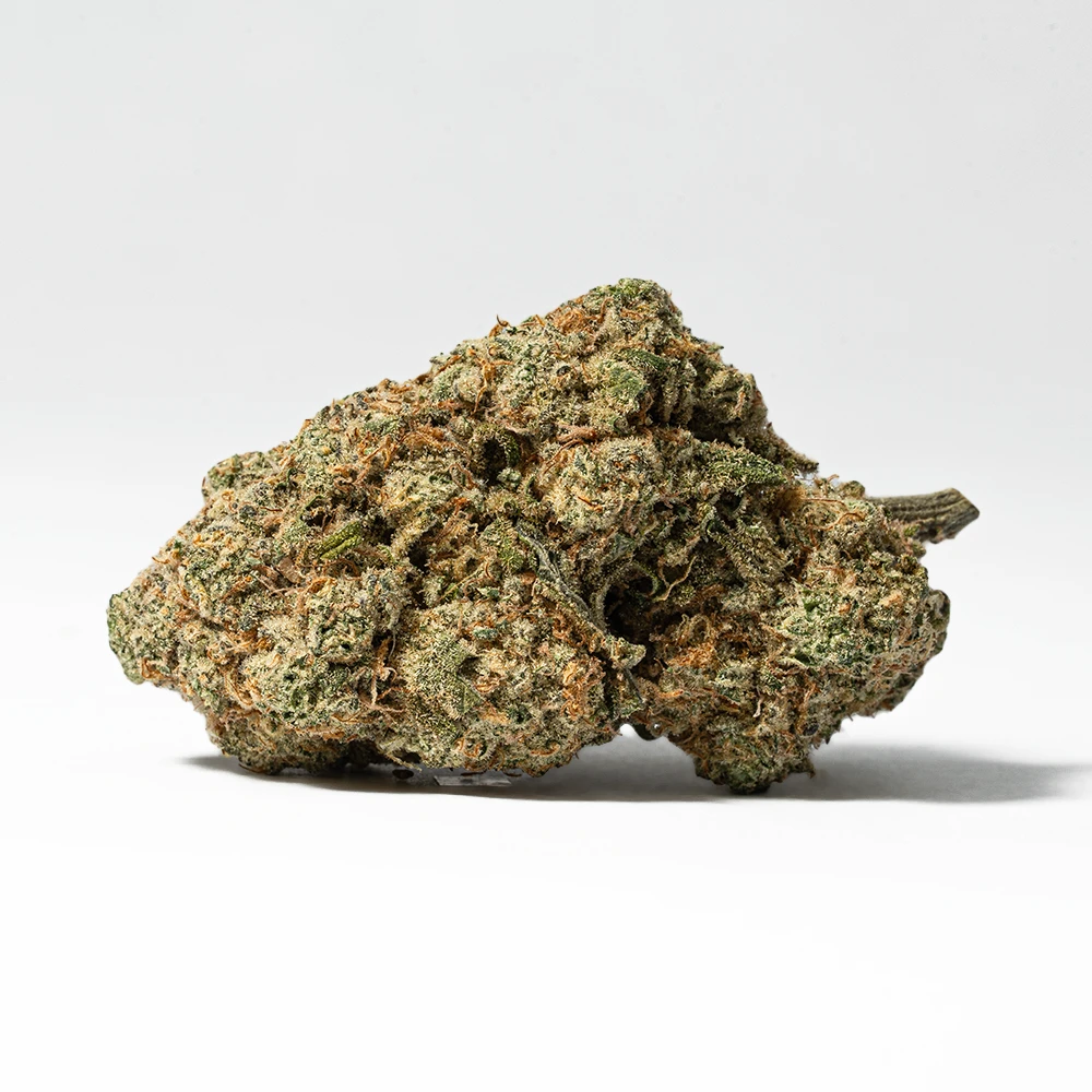 Harlequin (AAA) Harlequin (AAA)