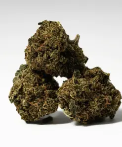 (Smalls) Lindsay OG (AAA+)