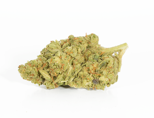 Bruce Banner (AA+) Bruce Banner (AA+)