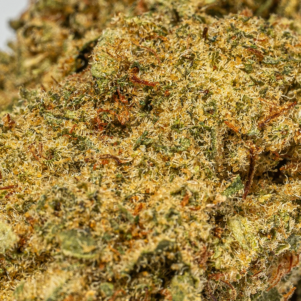 Orange Octane (AA) Orange Octane (AA)