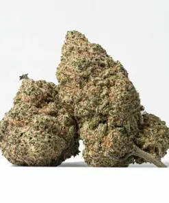 Peach Colada (AAAA+)